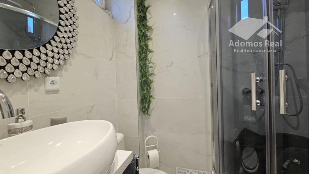 DREVODOM S POZEMKOM - ŤAHANOVCE