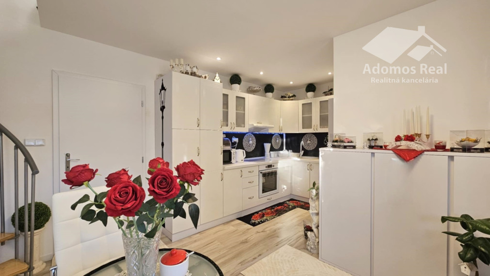 DREVODOM S POZEMKOM - ŤAHANOVCE