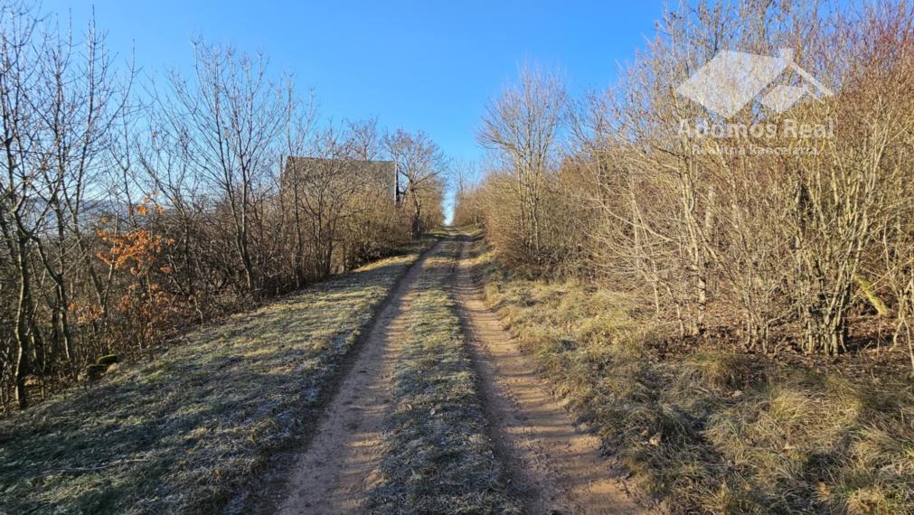 ZÁHRADA - TURŇA NAD BODVOU/ZÁDIEL