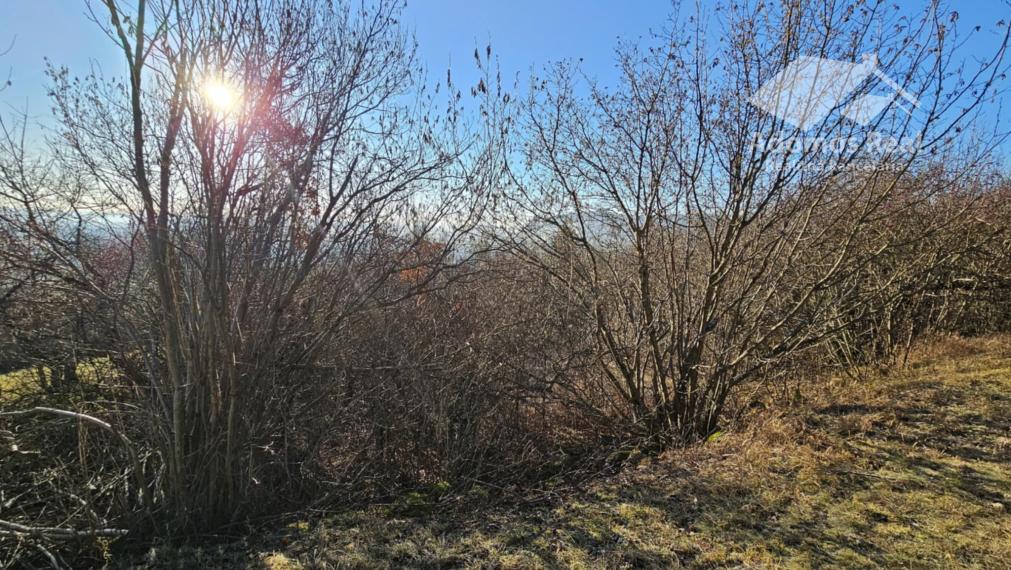 ZÁHRADA - TURŇA NAD BODVOU/ZÁDIEL