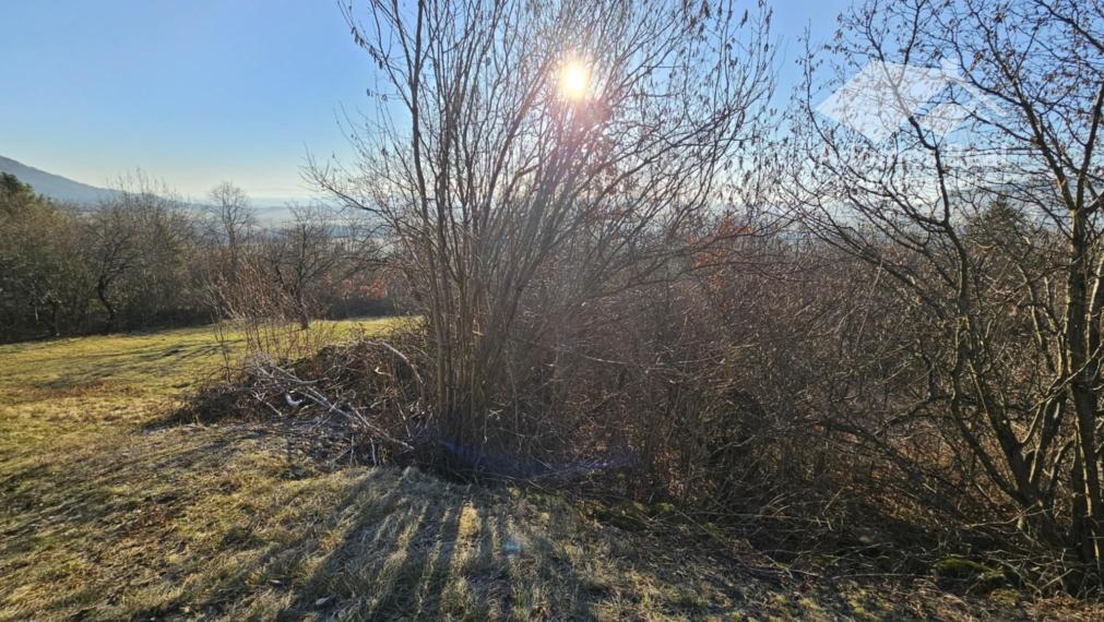 ZÁHRADA - TURŇA NAD BODVOU/ZÁDIEL