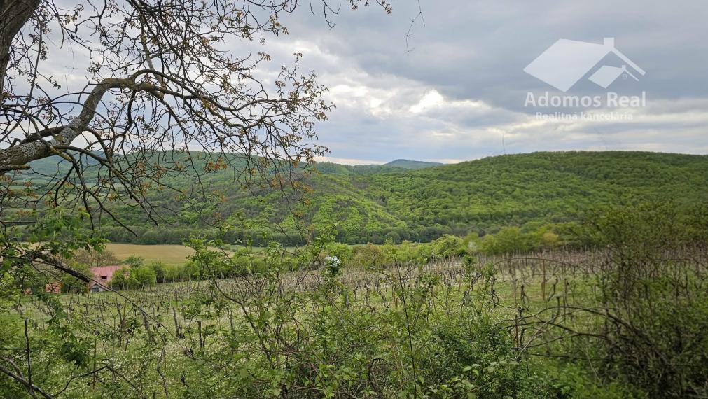 CHATA SO ZÁHRADOU-HRUŠOV