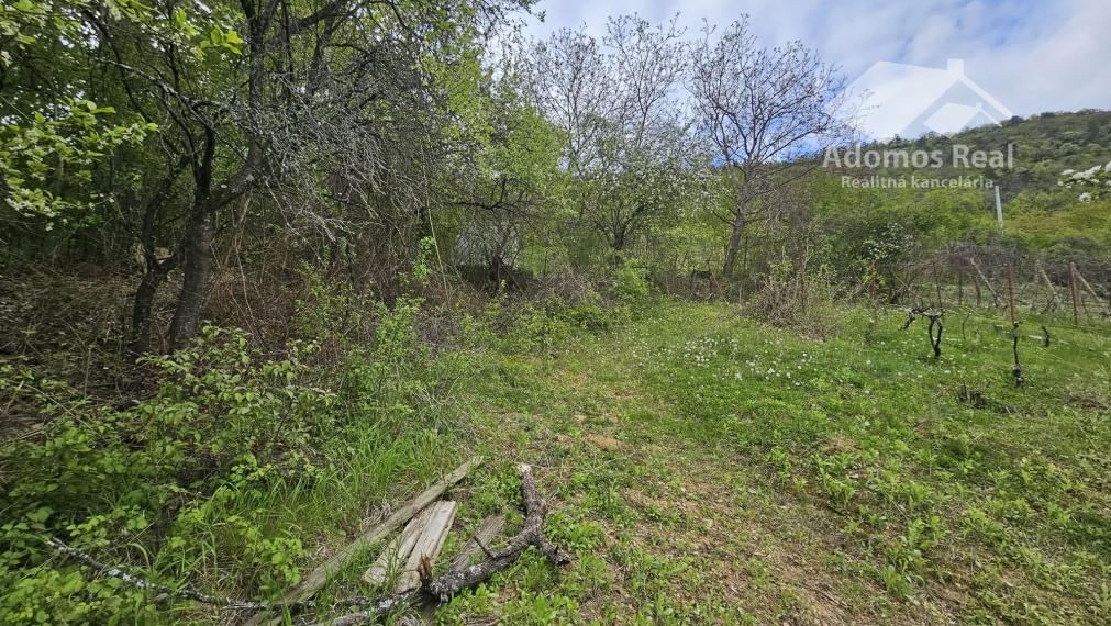 CHATA SO ZÁHRADOU-HRUŠOV