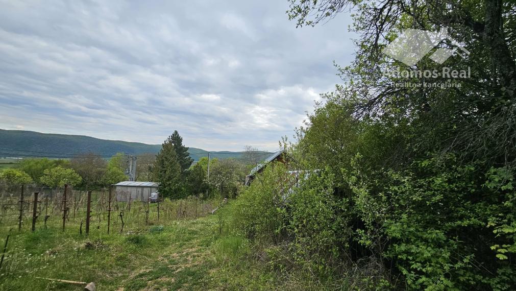 CHATA SO ZÁHRADOU-HRUŠOV