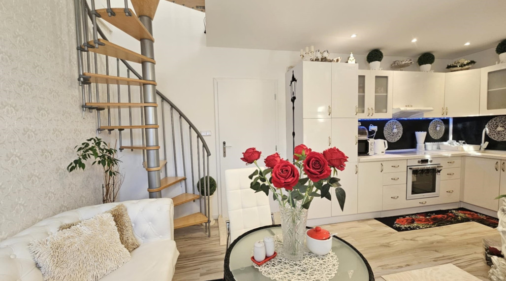 DREVODOM S POZEMKOM - ŤAHANOVCE