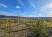 VINICA-HRUŠOV - fotografia 3