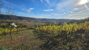 VINICA-HRUŠOV
