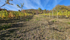 VINICA-HRUŠOV