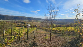 VINICA-HRUŠOV