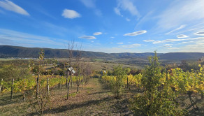 VINICA-HRUŠOV