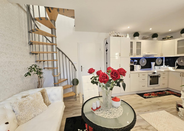 DREVODOM S POZEMKOM - ŤAHANOVCE