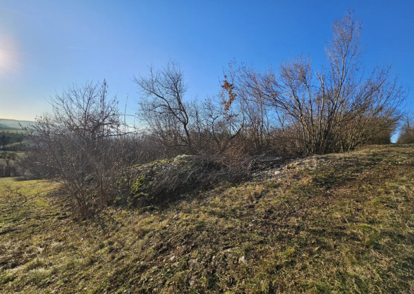 ZÁHRADA - TURŇA NAD BODVOU/ZÁDIEL