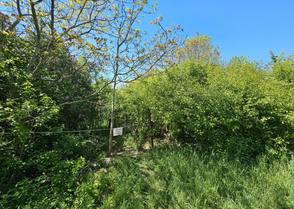 ZÁHRADA - HERINGEŠ/PANORAMA