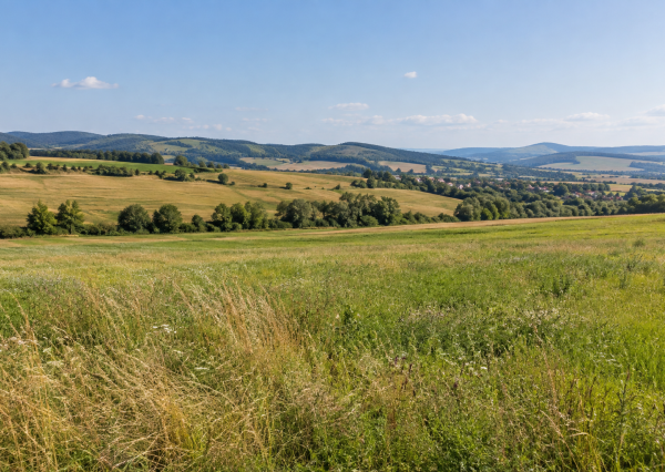 POĽNOHOSPODÁRSKY POZEMOK – PLOSKÉ