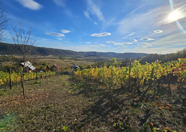 VINICA-HRUŠOV