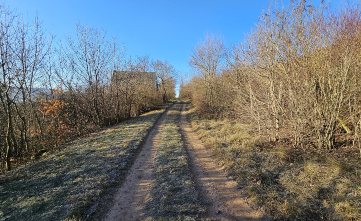 ZÁHRADA - TURŇA NAD BODVOU/ZÁDIEL - fotografia 1