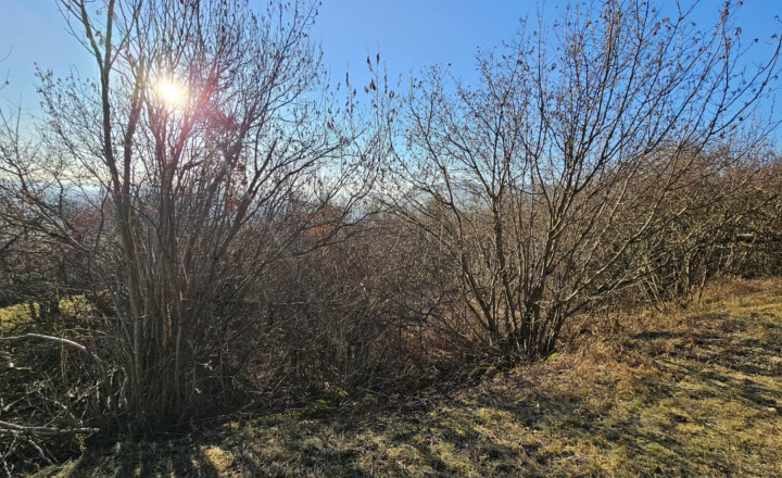ZÁHRADA - TURŇA NAD BODVOU/ZÁDIEL - fotografia 4