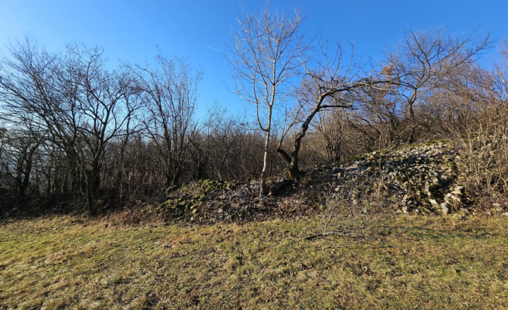 ZÁHRADA - TURŇA NAD BODVOU/ZÁDIEL - fotografia 2