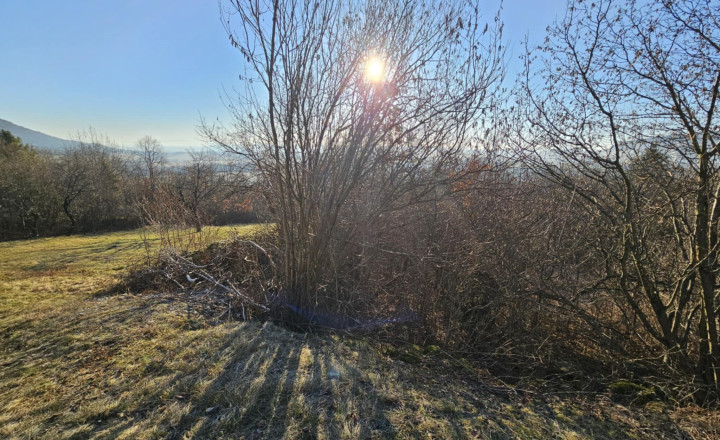 ZÁHRADA - TURŇA NAD BODVOU/ZÁDIEL - fotografia 5