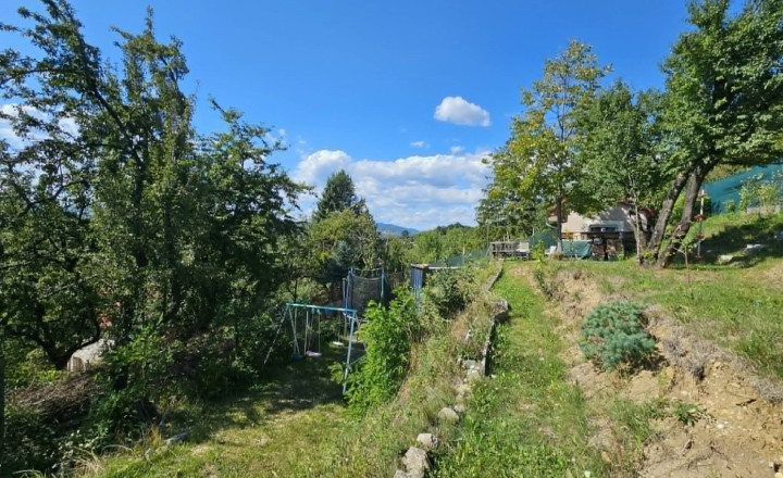 ZÁHRADA - HERINGEŠ - fotografia 5