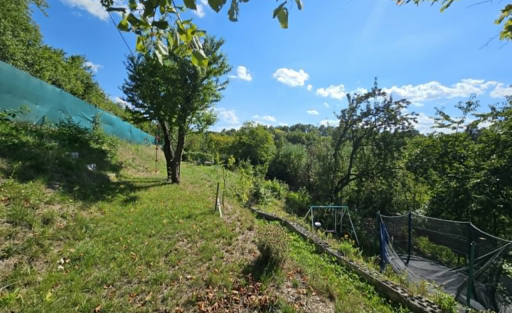 ZÁHRADA - HERINGEŠ - fotografia 6