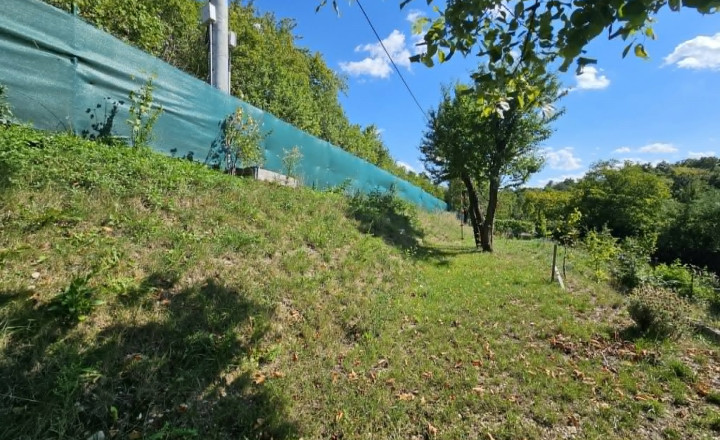ZÁHRADA - HERINGEŠ - fotografia 4