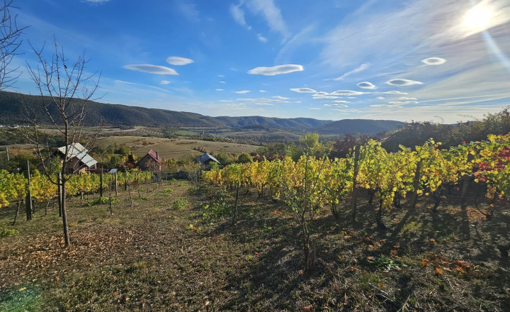 VINICA-HRUŠOV