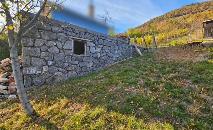VINICA-HRUŠOV - fotografia 5